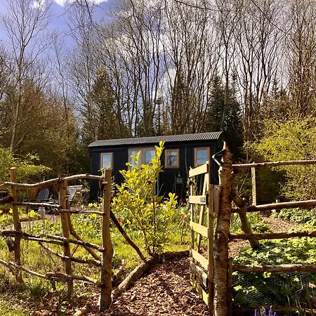 Archie The Shepherd's Hut 木屋
