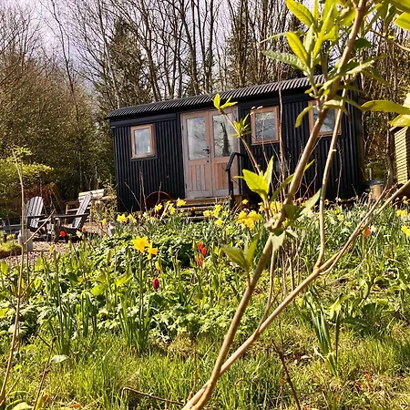 Archie The Shepherd's Hut 木屋
